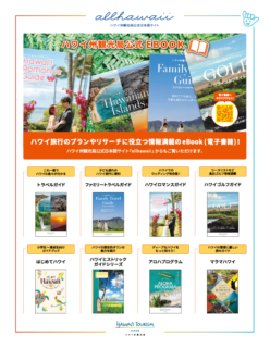 HAWAII TOURISM JAPAN