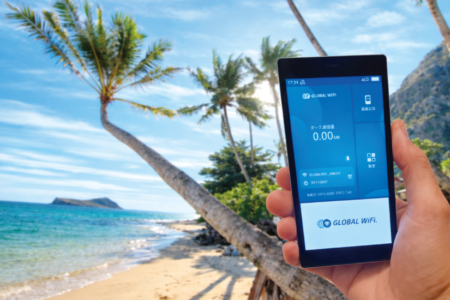 Vision Mobile Hawaii
